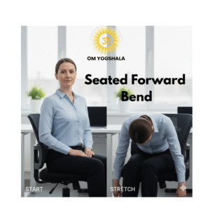 Seated Forward Bend