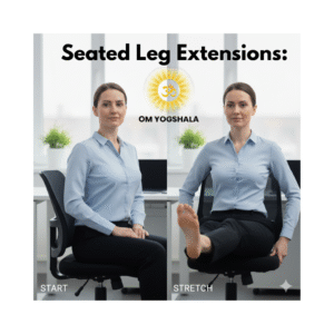 Seated Leg Extensions
